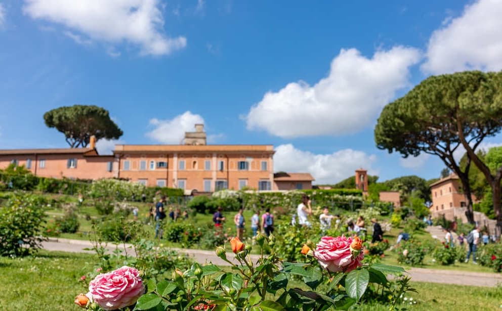 Immagine non disponibile