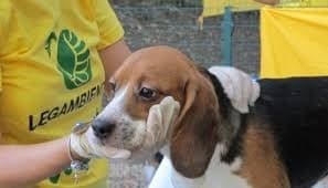 Immagine non disponibile