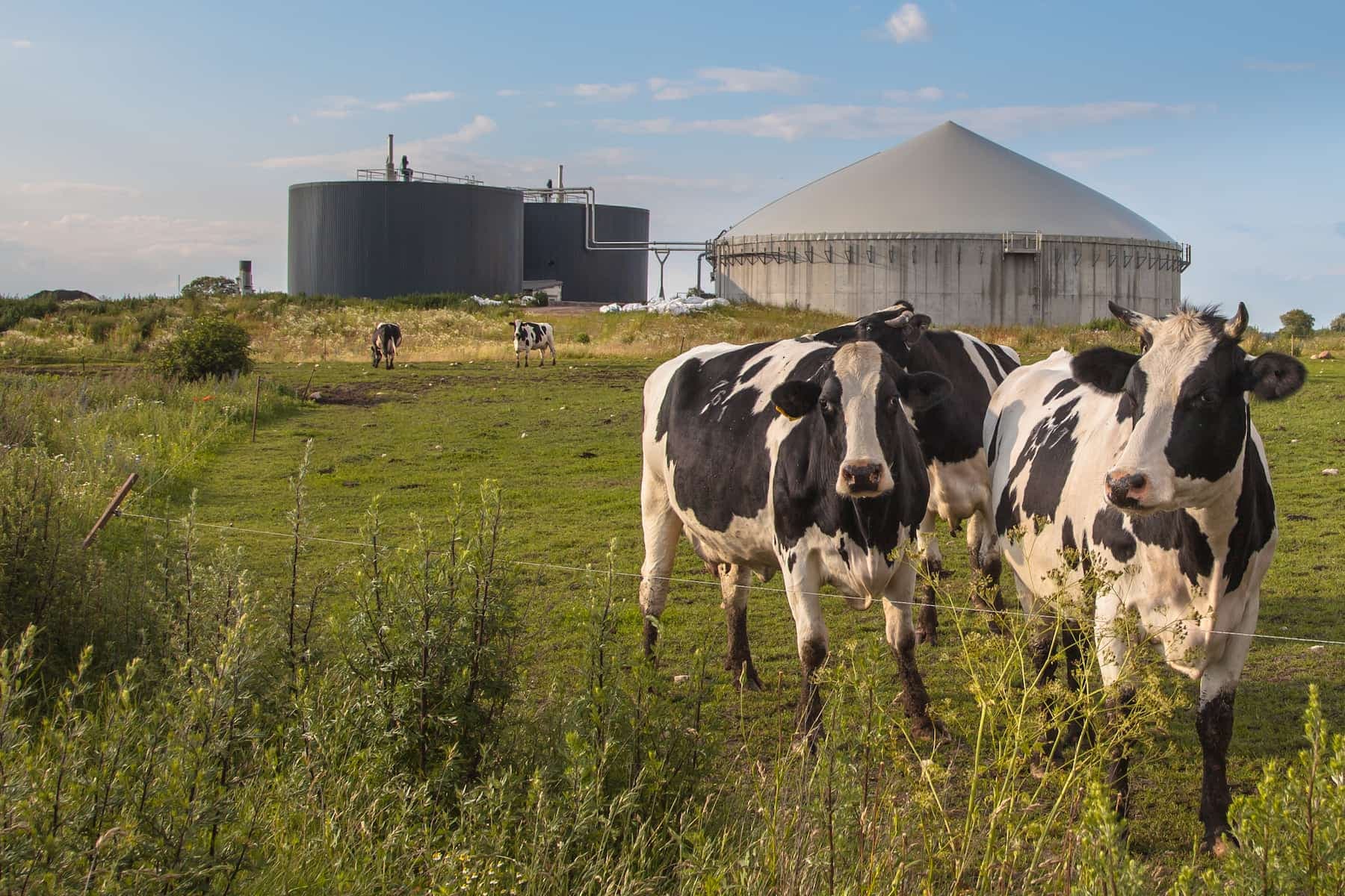 Forum Biometano: le potenzialità del biometano da scarti agricoli in Italia
