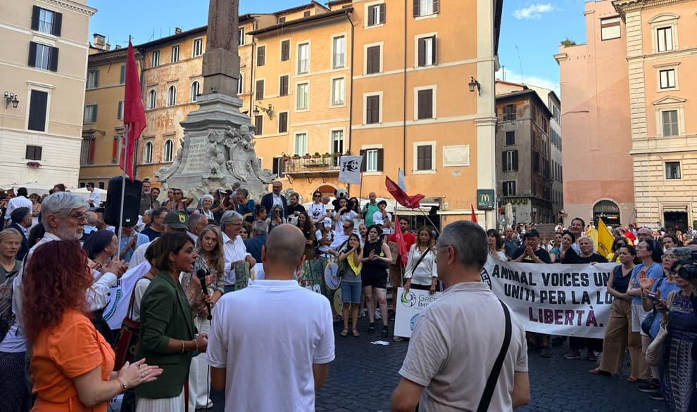 Immagine non disponibile