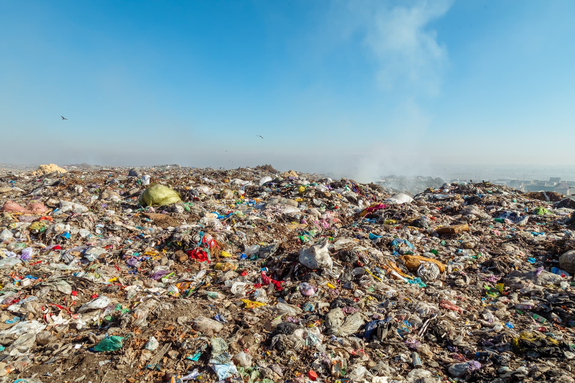Ecomafia 2026: storie e numeri della criminalità ambientale in Italia