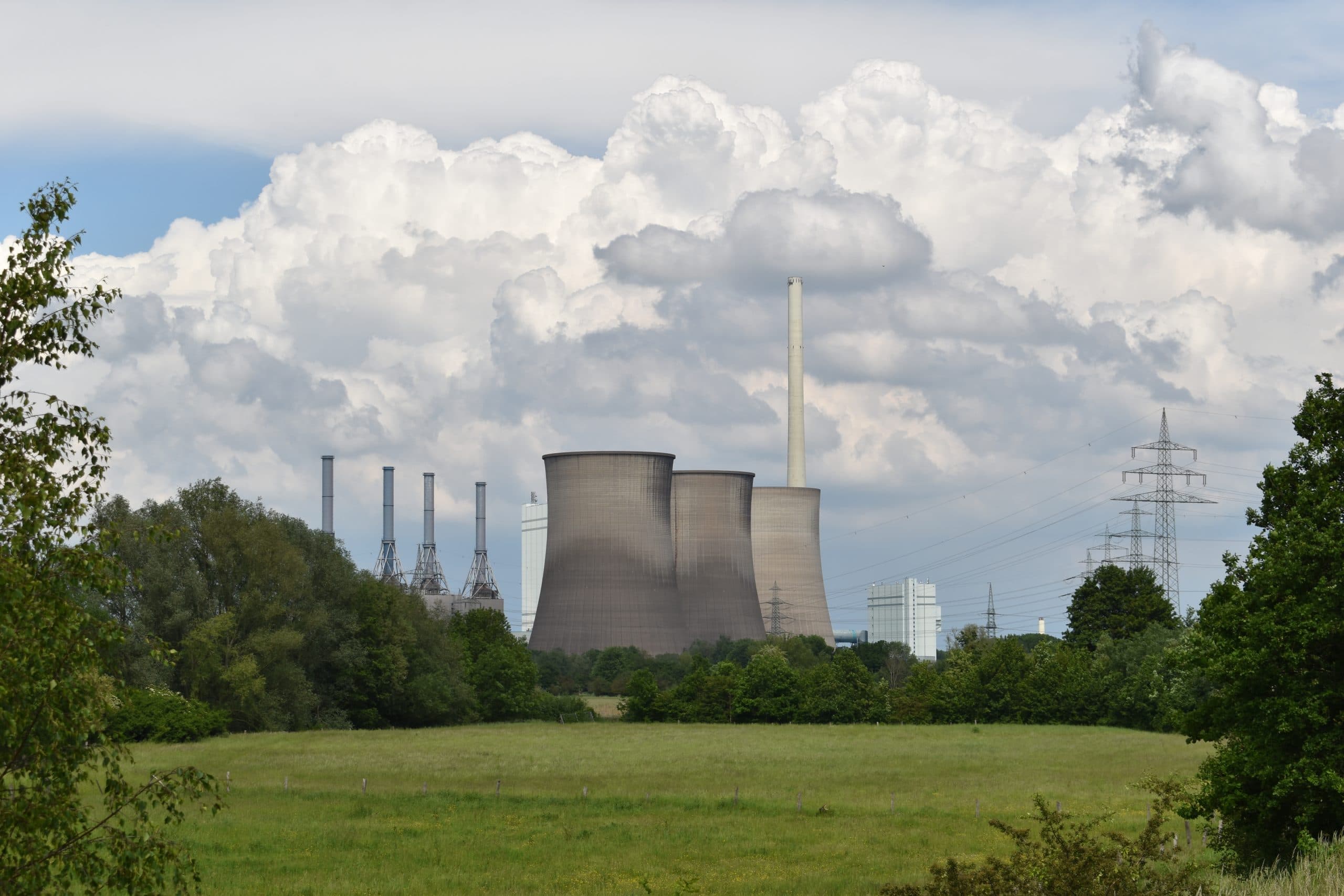 A view of the nuclear power plant behind the green plants and a meadow under the cloudy sky